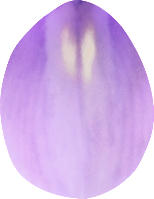 藤の花ビラのイラストを加工した画像