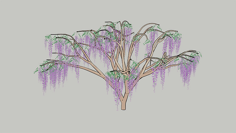 藤の花の木にラインアートモディファイアをかけた画像