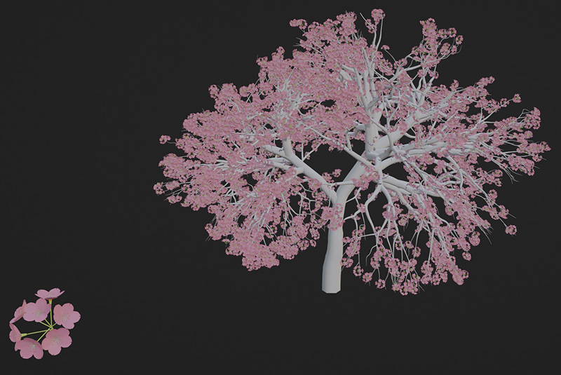 Blenderで作った桜の画像